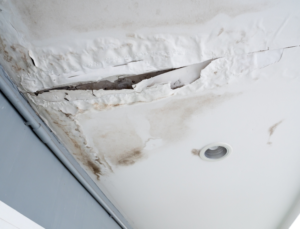 Daniel Peinture Renovation Peinture Cagnes Sur Mer Diagnostic
